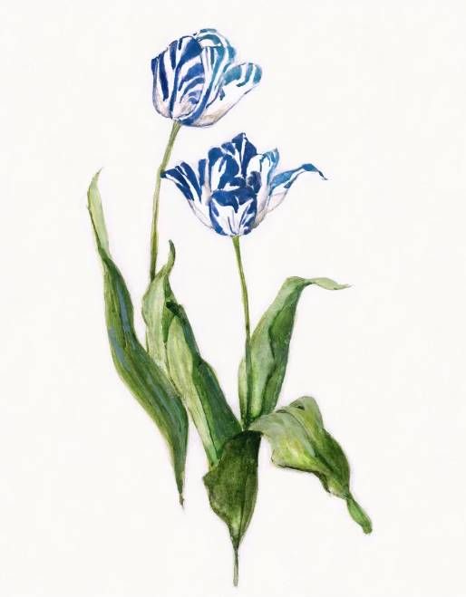 Classy Art Blue Lively Botanical II by Sally Swatland Wall Art-1