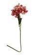 A & B Home Red French Hydrangea-0