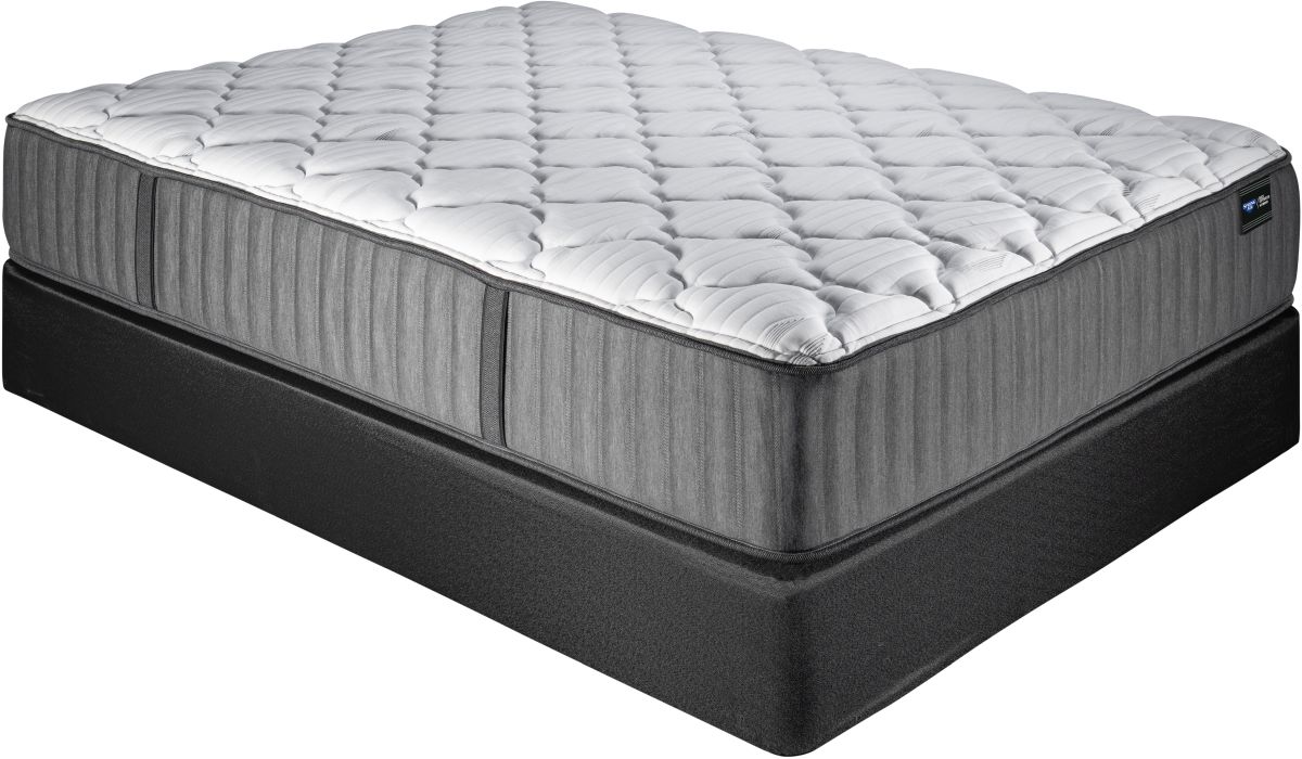 Plush tight top mattress hotsell