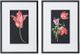 A & B Home 2-Piece Black/Pink/White Floral Wall Art-0