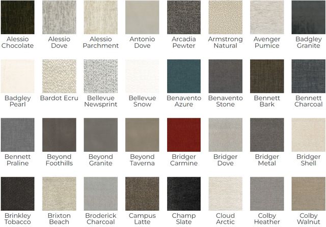 Stanton™ Customizable 491 Loveseat-2