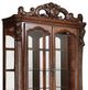 ACME Furniture Dresden Cherry Curio Cabinet-3