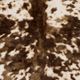 Surya Rusak Dark Brown/Camel/Cream 5'x7' Area Rug-1