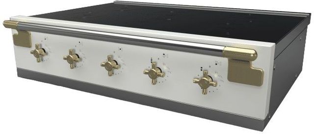 AGA™ Elise 36" Stainless Steel Induction Rangetop-0