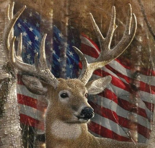 Classy Art Whitetail Buck by Collin Bogle Wall Art-1