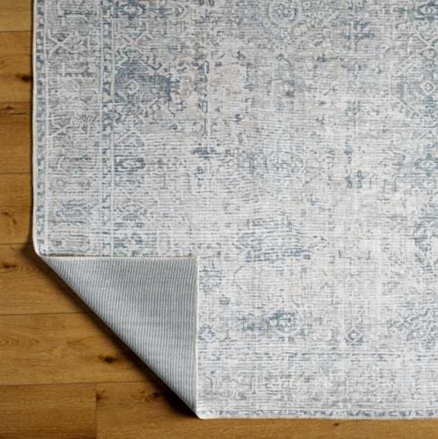 Surya Embrace Beige/Blue 4'x6' Area Rug-2