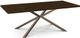 Amisco Customizable Asterisk Rectangular Dining Table with Solid Birch Top-0