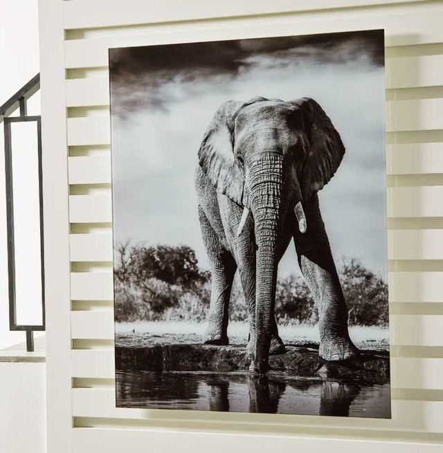 Signature Design by Ashley® Glinyard Wall Art-4