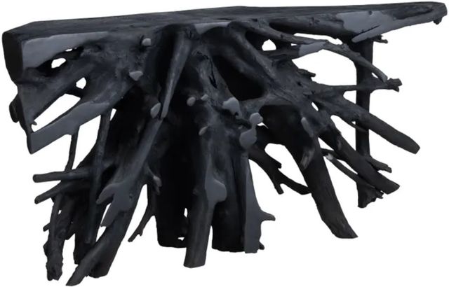 Crestview Collection Batu Matte Black Console Table-0