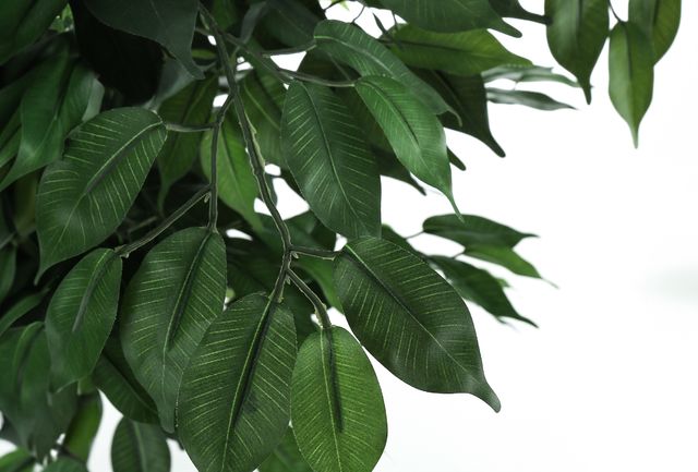 Monarch Specialties Inc. Green/Black 58" Artificial Potted Ficus Tree-2