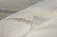 Feizy Vancouver Ivory 8'x10' Area Rug-3
