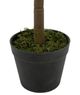 A & B Home Green 4.5" Fiddle-Leaf Fig Tree in Pot-3