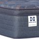 Sealy® Special Edition Warner Wrapped Coil 14" Plush Euro Pillow Top Queen Mattress-3