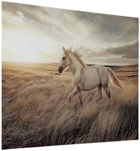 Signature Design by Ashley® Errolville Wall Art-2