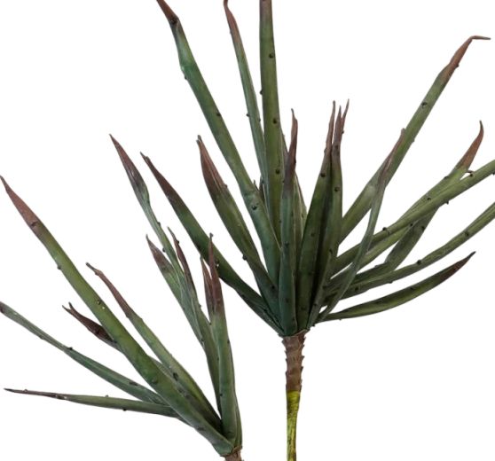 Harp & Finial® Palm Stem Green Foam Floral-1