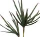 Harp & Finial® Palm Stem Green Foam Floral-1