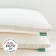 Avocado Molded Latex Medium Firm Standard Pillow-4