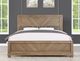 Steve Silver Co. Montana Weathered Sand Queen Panel Bed-1