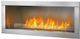 Napoleon® Galaxy™ See Thru Outdoor Gas Fireplace-Stainless Steel-0