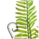 A & B Home Green Artificial Plants Boston Fern Bush-2