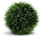 Le Present Cedar Green Faux Botanical Ball-0