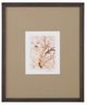 Bassett Mirror Parchment Coral lIl Framed Print-0