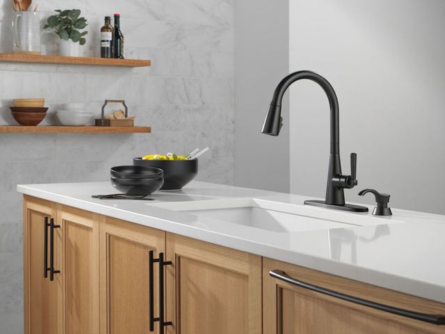 Delta Boyd™ Matte Black Single Handle Kitchen Faucet  with Soap Dispenser and ShieldSpray Technology -1