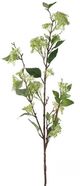 A & B Home Light Green 40" Fruit Spray-0