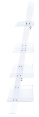 Coaster® Amaturo Clear 4-Shelf Ladder Bookcase-2