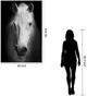Classy Living White Horse Wall Art-2