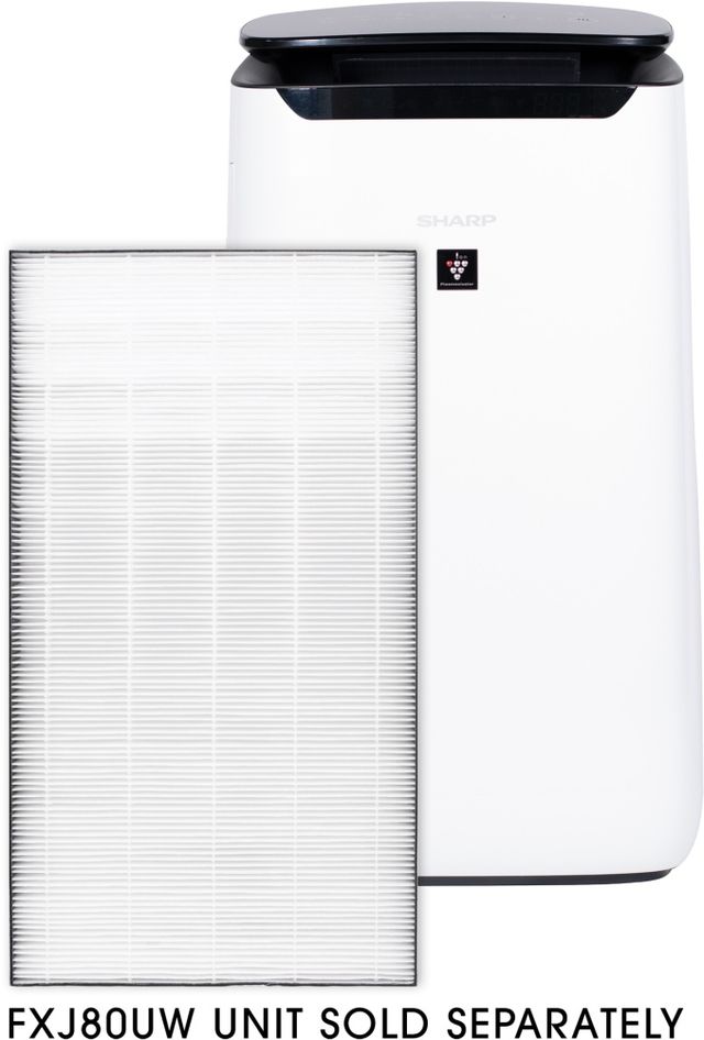 Sharp® True HEPA Air Purifier Replacement Filter-3