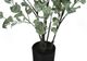 Monarch Specialties Inc. Green/Black 35" Artificial Potted Eucalyptus Tree-1