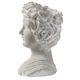 A & B Home Gray Goddess Bust Planter-2