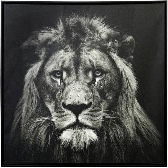 Stylecraft Black/White Wall Art-0