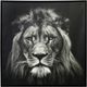 Stylecraft Black/White Wall Art-0