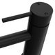 ZLINE Palisades Matte Black Elegant Single Handle Bath Faucet-1