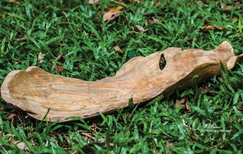 Uttermost Teak Leaf Bowl - Thumbnail 5
