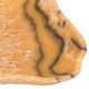 A & B Home Fernando Beige Hand-Carved Zebra Authentic Onyx Bowl-1