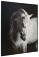 Signature Design by Ashley® Archerwick Wall Art-1