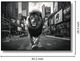 Classy Living Untamed Majestic Lion in the Urban Jungle Wall Art-2