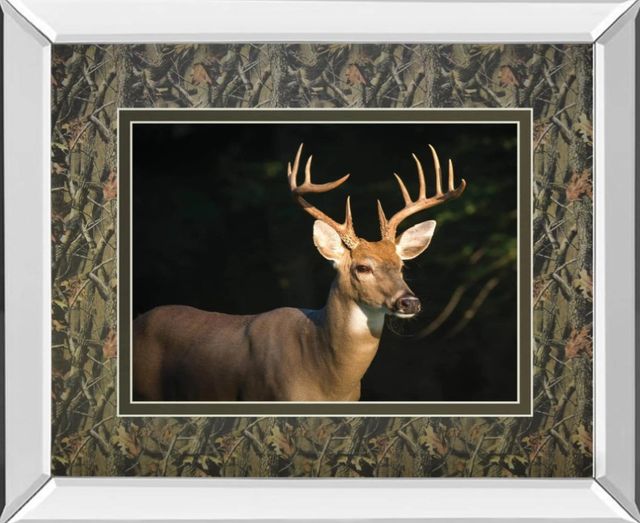 Classy Art White Tail Buck by Tony Campbell Mirror Framed Wall Art-0