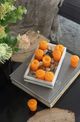 A & B Home Orange Unscented Soy Wax Votive Candles-5