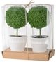 A & B Home 2-Piece Cream/Green Mini Faux Potted Topiaries Set-0