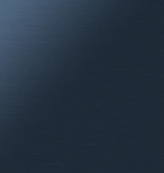 Samsung Bespoke 24" Navy Steel Dishwasher Panel