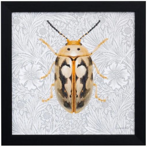 StyleCraft Beetles and Butterflies III Wall Art-0