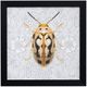 StyleCraft Beetles and Butterflies III Wall Art-0