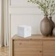 Renwil® Relica White Natural Decorative Object-1