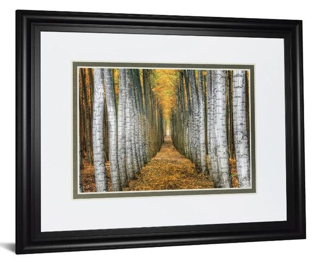 Classy Art Tree Farm by Cahill Wall Art-1