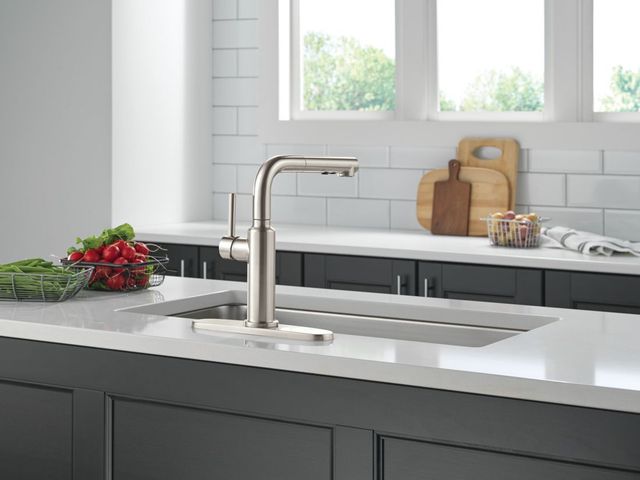 Delta Daneri™ Stainless Single Handle Pull-Out Kitchen Faucet-1