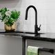 ZLINE Palisades Matte Black Pull Down Single Handle Kitchen Faucet-1